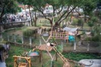 重慶動物園のパンダがリニューアルしたパンダ舎に引っ越し―重慶市