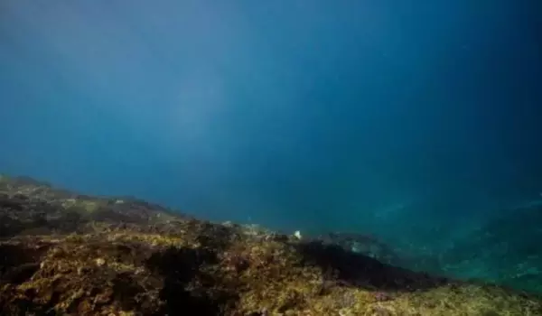 レアアース採掘で大ばくち、日本の願いはかなうのか？―中国メディア