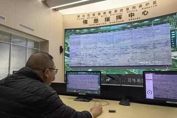 「湖北省で快適に暮らすシフゾウ―中国」の画像