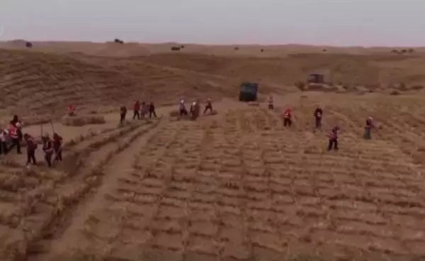 内蒙古アラシャン、黄河沿いの「砂漠化防止・太陽光発電」プロジェクトが着工―中国