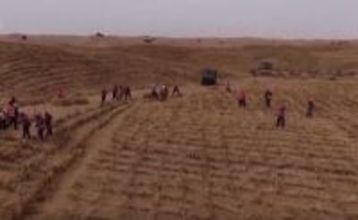 内蒙古アラシャン、黄河沿いの「砂漠化防止・太陽光発電」プロジェクトが着工―中国