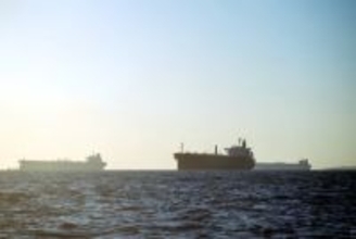 中国貨物船「アイアン・メイデン」がホルムズ海峡通過、多くの船舶は依然滞留―中国メディア