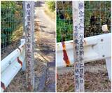 「日中交流の原点を後世へ、鑑真ゆかりの地・屋久島に記念碑、民間の力で歴史を刻む」の画像3