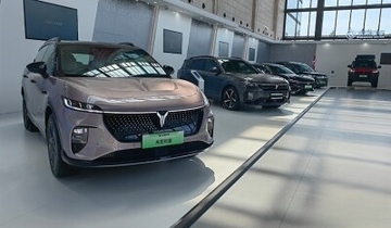 4月の新車販売台数、新エネ車が53．2％占める―中国