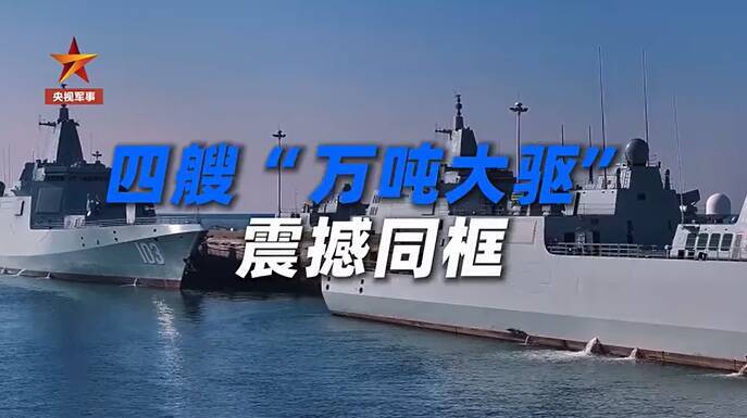 今年初、1万トン級駆逐艦4隻が一斉に海上訓練―中国