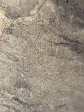 龍門石窟、保護工事中に唐代の石刻「金剛経」を新たに発見―中国