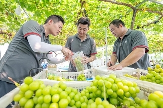 中国の宅配便取扱量、1〜8月は前年比17．8％増