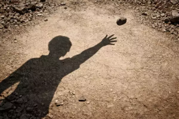 日本の外国人投石事件、実際は日本人が先に挑発＝中国ネット「日本の差別は深刻」「感情的判断は…」