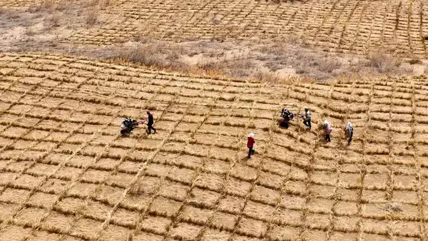 中国の砂漠化防止・対処、著しい成果―中国国家林草局