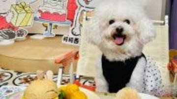 中国で進化するペット経済、各地で新たな成長分野として育成進む