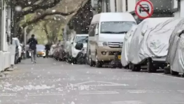 「楊絮・柳絮飛散予報が発表、北京・天津は6日から飛散開始―中国」の画像