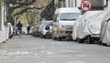 楊絮・柳絮飛散予報が発表、北京・天津は6日から飛散開始―中国