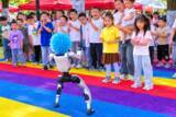 「人型ロボットの回し蹴りが男児の腹に直撃＝中国ネット「訴えるべき！」「自業自得」」の画像1