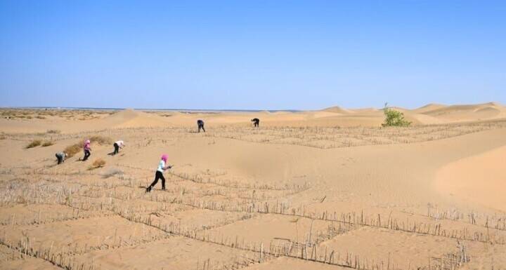 クブチ砂漠の黄河蛇行エリアで砂漠化対策―中国
