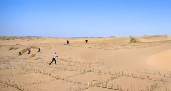 「クブチ砂漠の黄河蛇行エリアで砂漠化対策―中国」の画像