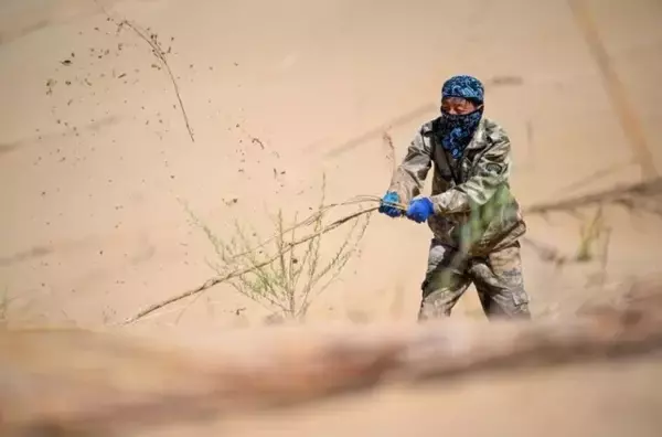 「クブチ砂漠の黄河蛇行エリアで砂漠化対策―中国」の画像