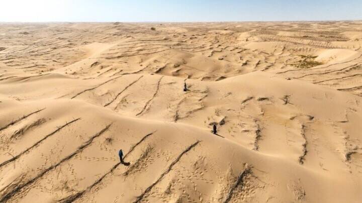クブチ砂漠の黄河蛇行エリアで砂漠化対策―中国
