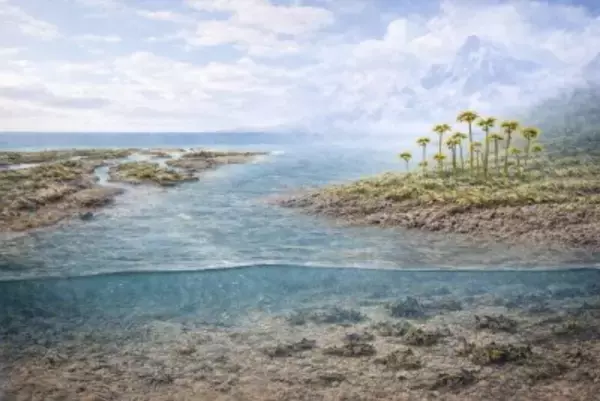 中国の研究チームが新発見、初期植物の陸上での大規模拡大が4億年余り前にさかのぼる