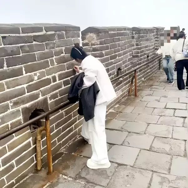 「万里の長城に文字を刻む女性、忠告も聞き入れず、警察「関連法規に基づき処分」―中国」の画像