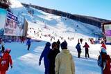 「中国のスキー場に海外からの観光客が殺到―香港メディア」の画像2