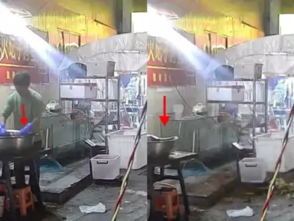 焼き魚店の男性、いつも餌をあげていたネコのおかげで命拾い―中国