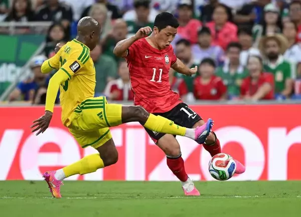 「＜W杯＞韓国が南アフリカに敗戦で3位＝韓国ネット怒り「史上最悪」「こんな楽勝グループで…」」の画像