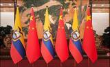「エクアドルのノボア大統領、16日から中国公式訪問」の画像1