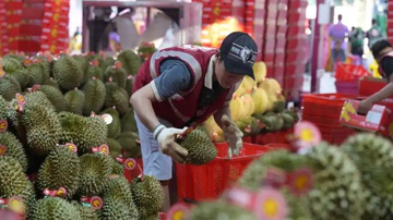 ベトナム産ドリアンの今年の対中輸出は40億ドル超へ、中越貿易深化の象徴に