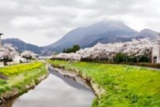 桜の季節、日本の意外な都市が台湾で人気に―台湾メディア