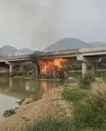 花火で遊んでいた中学生4人、うっかり橋を燃やしてしまう―中国