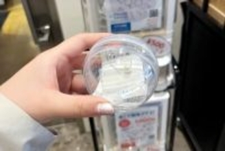 日本を1週間旅行した中国人女性の体験談に、中国ネット「経験すれば分かる」「また行きたい」