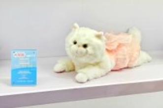 ストレス解消から「感情面での伴侶」へ、成長続けるAI玩具市場―中国