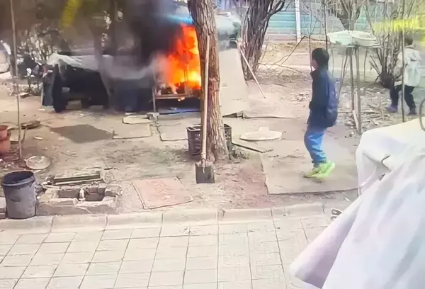 「男児2人がケージに花火投げ入れ犬が焼死＝中国ネット「信じられない」「本人らに罰を」」の画像