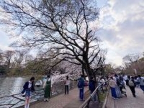 日本旅行に魅力感じず？「達人」が反論「今行かずしていつ行く」―台湾メディア