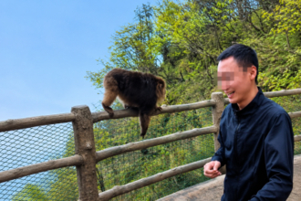 柵の上のチベットモンキーを突き落とそうとした男性、3年間出禁に―中国