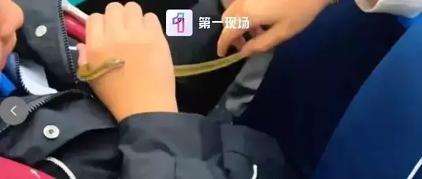「地下鉄車内で女子生徒2人が生きたヘビ取り出す―中国」の画像