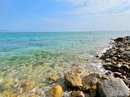 中国漁船が南シナ海に毒物放出か、フィリピン主張も中国は「自作自演」と反論―仏メディア