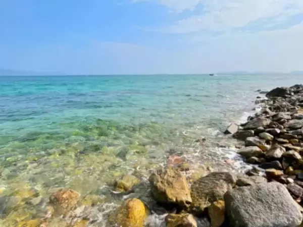 中国漁船が南シナ海に毒物放出か、フィリピン主張も中国は「自作自演」と反論―仏メディア