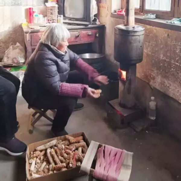暖房費を賄えず、中国の農村で深刻な「エネルギー貧困」―独メディア