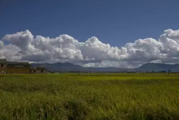 穀物生産量、2025年は過去最高の7億1490万トンに―中国