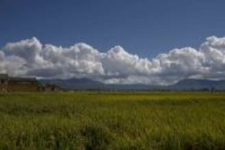 穀物生産量、2025年は過去最高の7億1490万トンに―中国