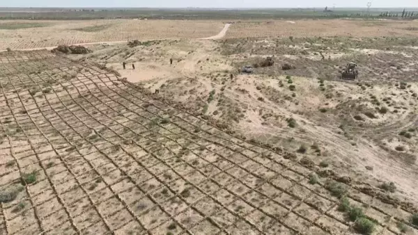 「中国-中央アジア砂漠化防止対処協力ハイレベル会議、寧夏・銀川で開催」の画像