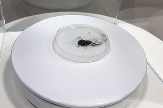 「嫦娥6号」の月の土壌から隕石残留物発見、月の水の起源解明に期待―中国