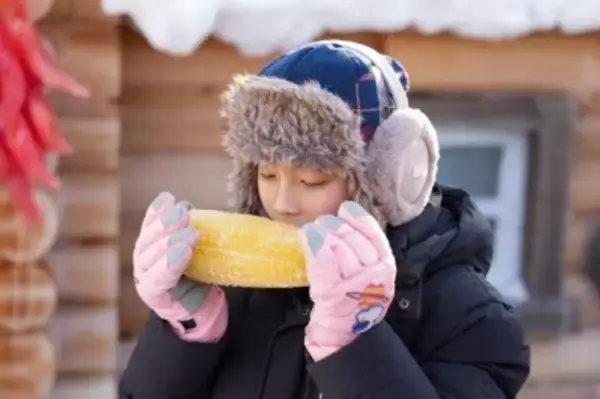 植物由来のカラー氷がハルビンの氷雪大世界に登場―中国
