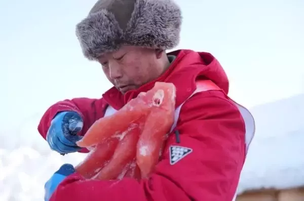 「植物由来のカラー氷がハルビンの氷雪大世界に登場―中国」の画像