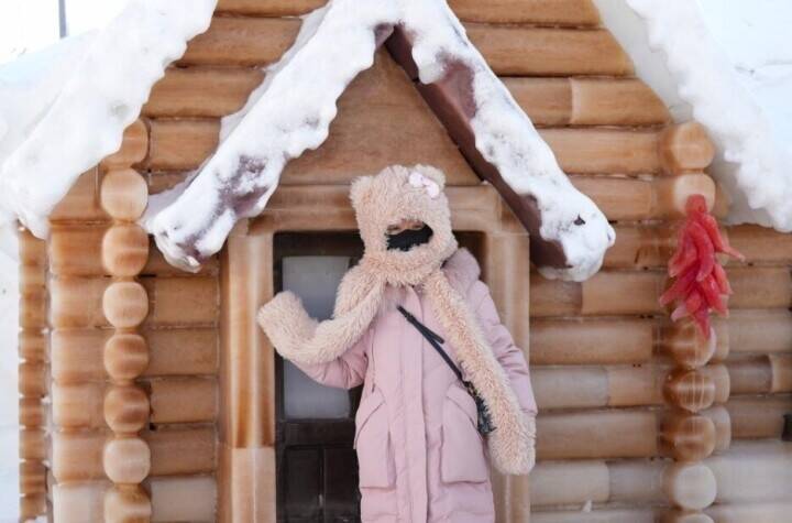 植物由来のカラー氷がハルビンの氷雪大世界に登場―中国