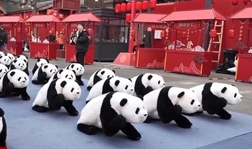 「春晩」に登場したパンダ軍団、その正体はロボット犬