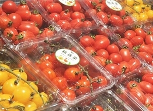 11月のCPI、前年比0．7％上昇―中国