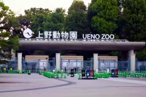 パンダがいなくなっても日本人は気にしない？―台湾メディア