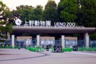 パンダがいなくなっても日本人は気にしない？―台湾メディア